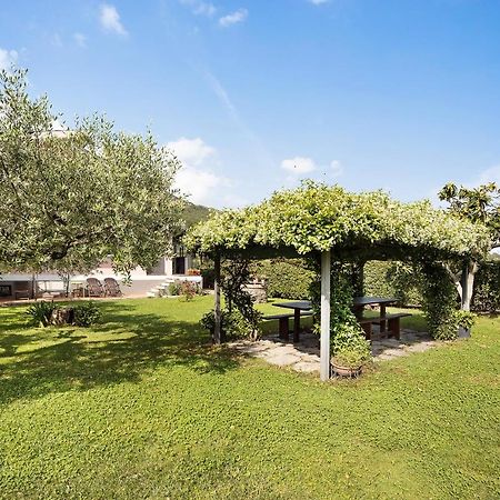 Mansarda Albero Verde Con Piscina Casanova Lerrone Exterior photo