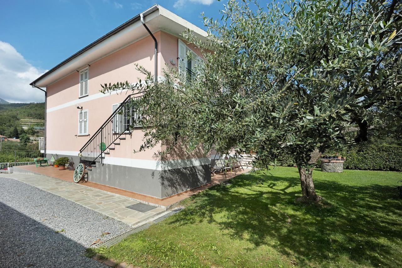 Mansarda Albero Verde Con Piscina Casanova Lerrone Exterior photo